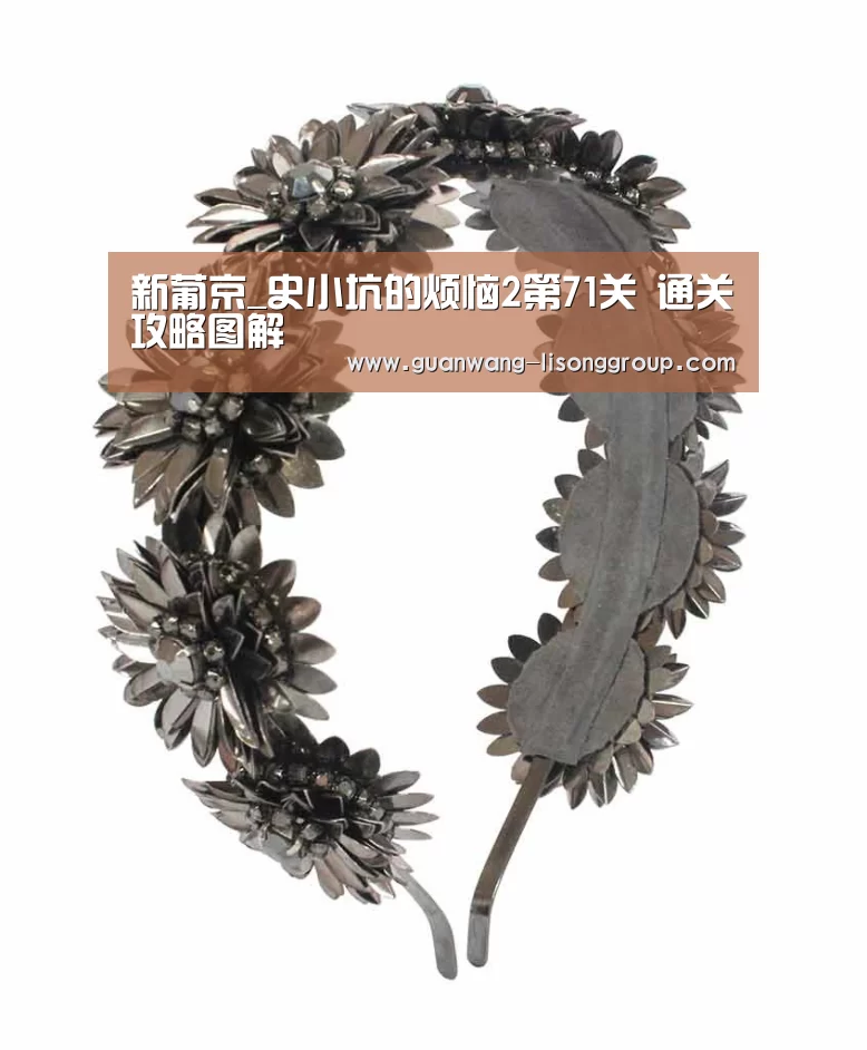 新葡京_史小坑的烦恼2第71关 通关攻略图解(图1) 新葡京